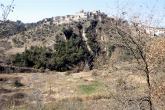 Camí de Sant Jaume