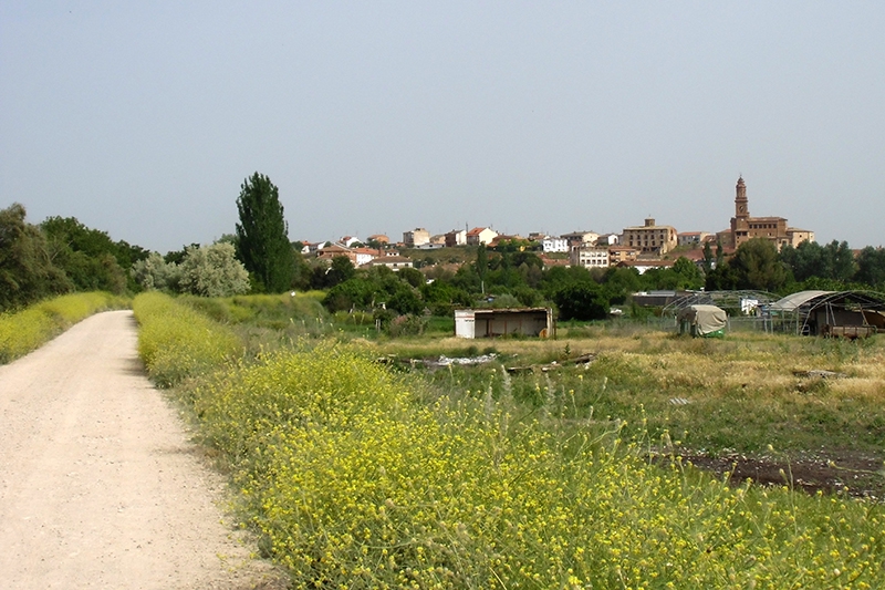 San Adrián.