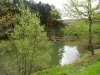 Rio Ebro