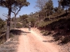 LLegando al Coll de Maldà