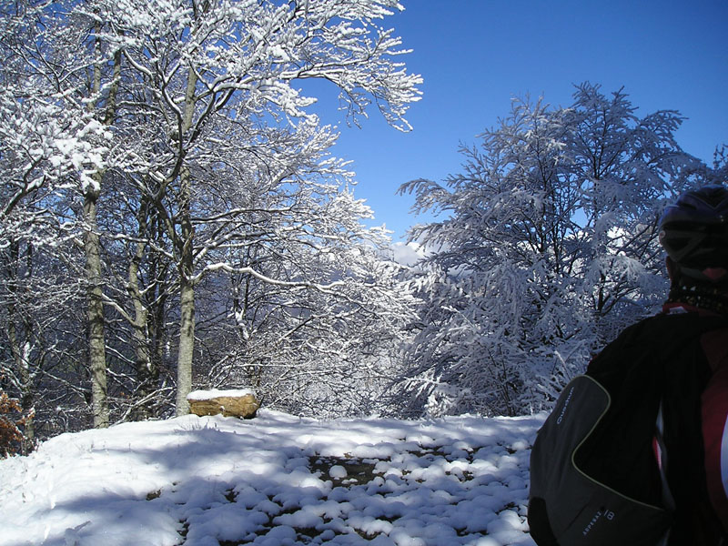 Paisaje invernal
