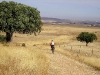 Camino a Salamanca